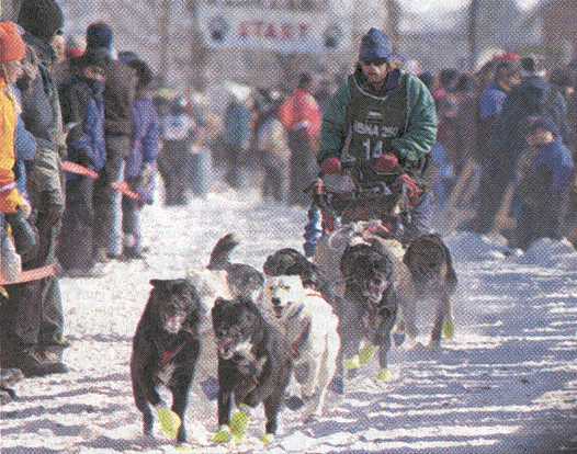 Working Caption Bangor Daily News File Photo